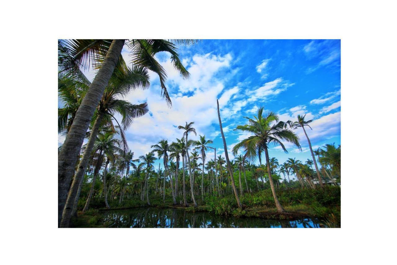 Munroe Paradise Apartment Munroe Island Luaran gambar